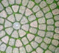 Patio pord soca